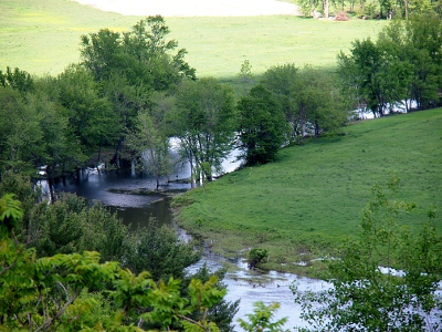 [A river curves from the upper right to the lower left then flows along the bottom of the image. Trees line the banks of the river with expanses of grass beyond the trees.]